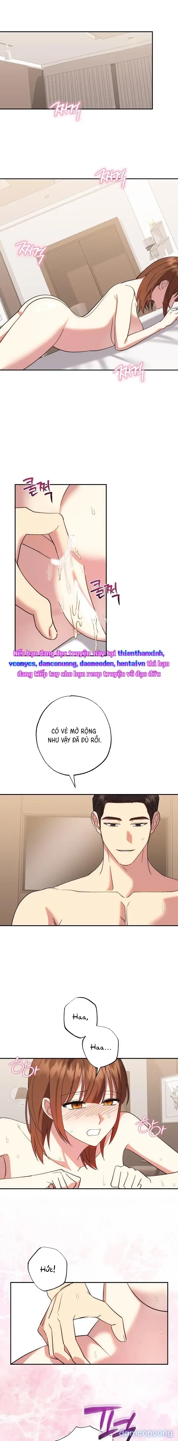 Tam Giác Công Việc 