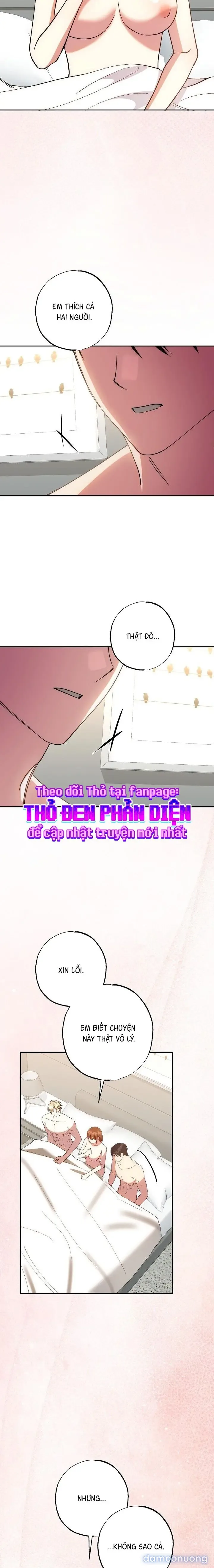 Tam Giác Công Việc 
