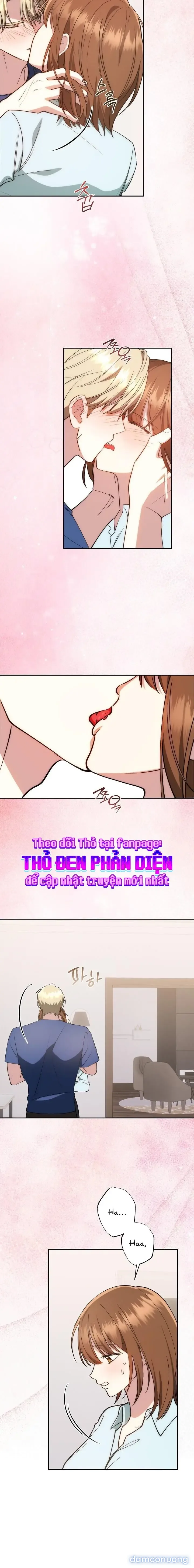 Tam Giác Công Việc 