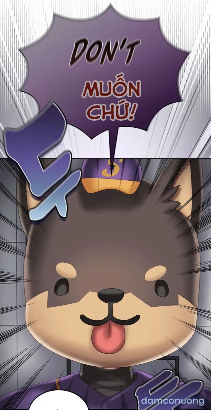Cổ Vũ Tình Yêu ! 