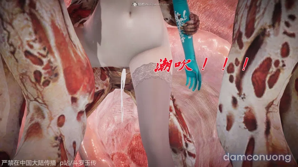 ĐẤU LA NGỌC TRUYỆN 