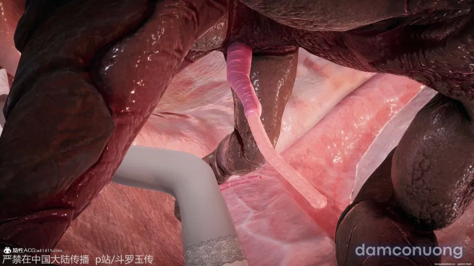 ĐẤU LA NGỌC TRUYỆN 