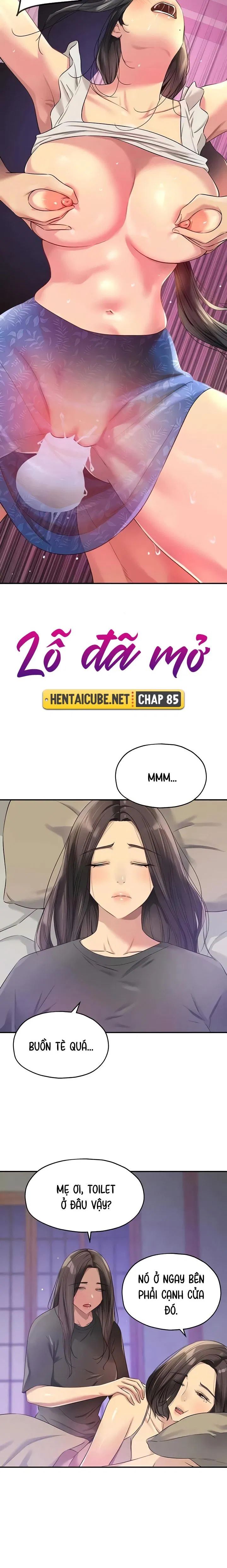 Lỗ đã mở 