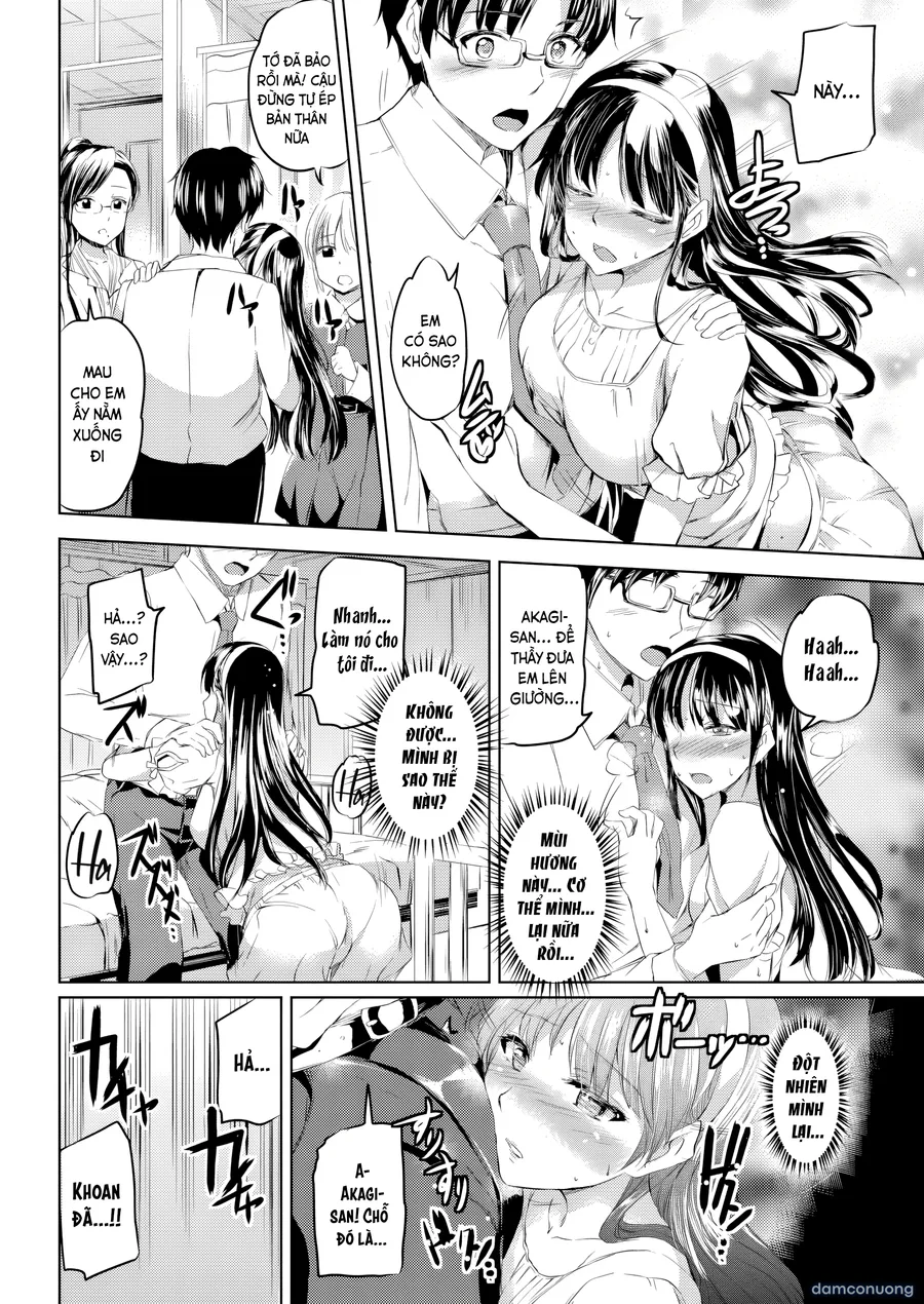 Shirushi 