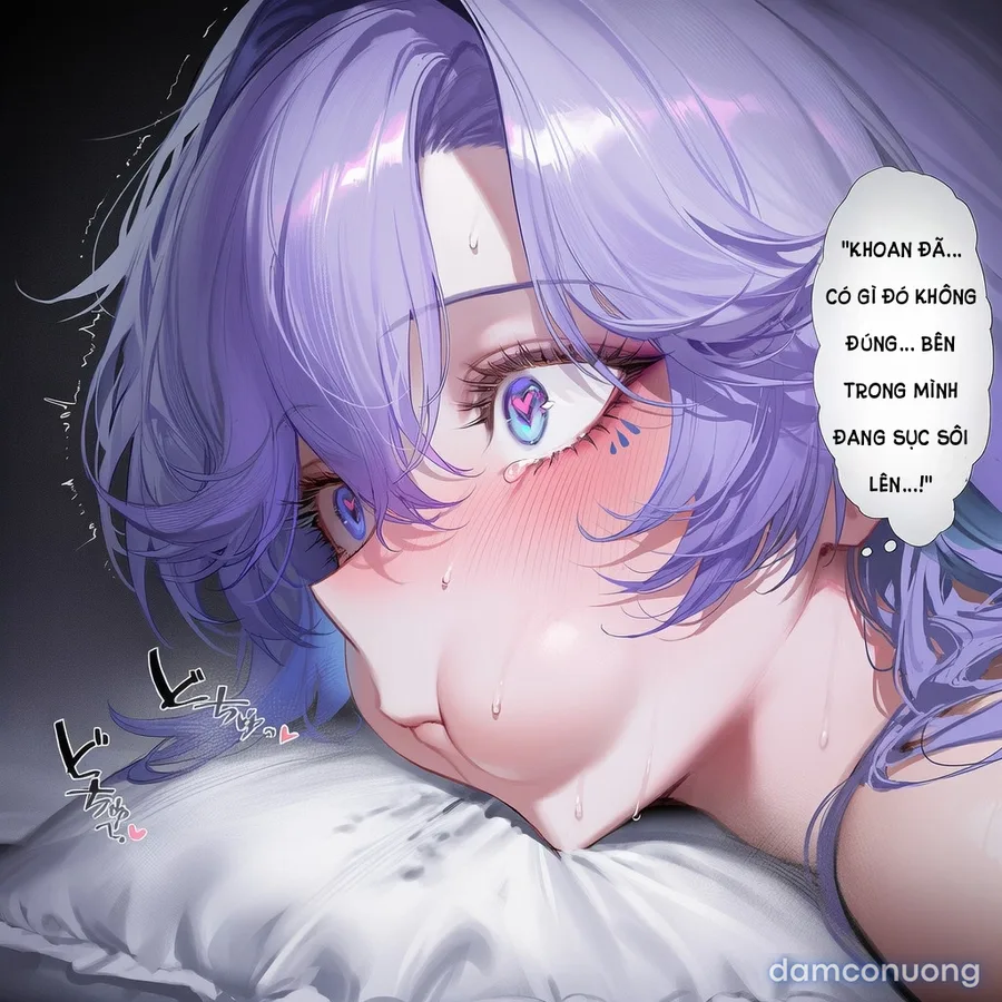 Cantarella NTR 