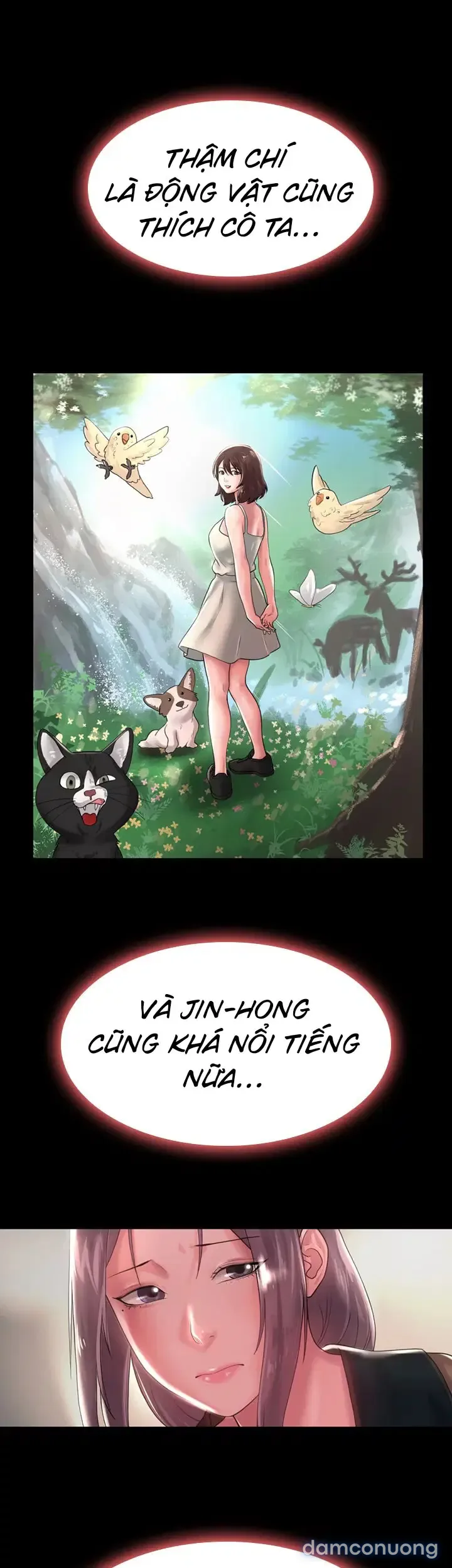 Mối tình không đắt giá 