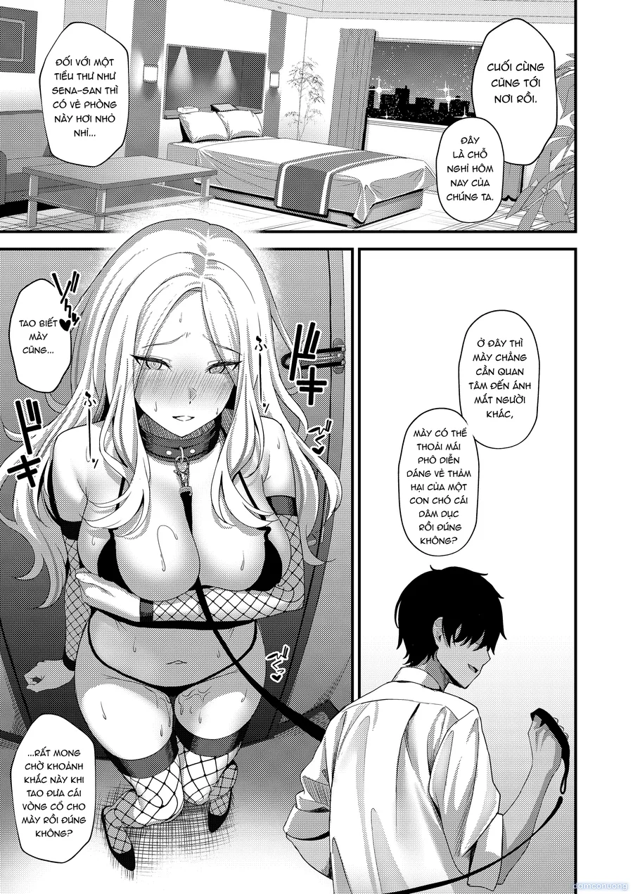 Hatsuboshi Seikyouka Gekkan Prima Stella ga Mesu ni Natta Hi 