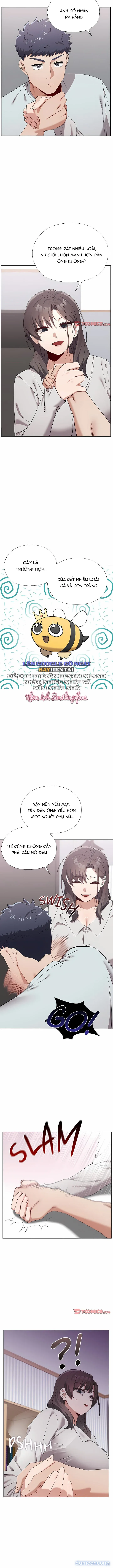 Đàn Ông Trên Đời Đi Đâu Hết Rồi? 