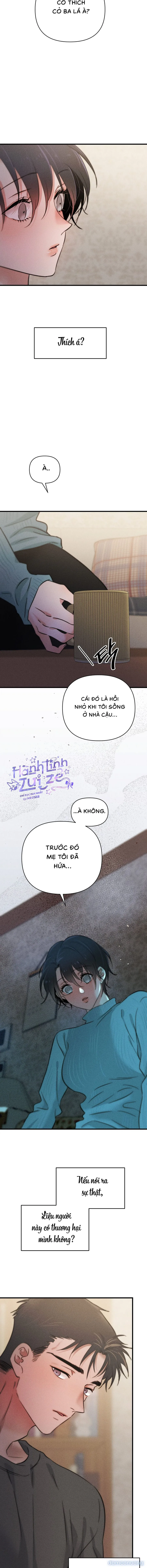 Những Ngày Cỏ Ba Lá 