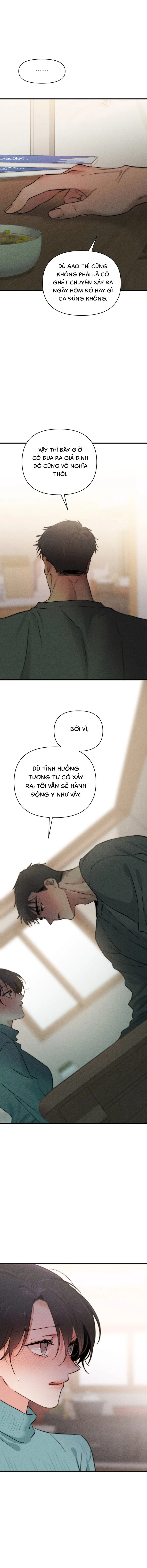 Những Ngày Cỏ Ba Lá 