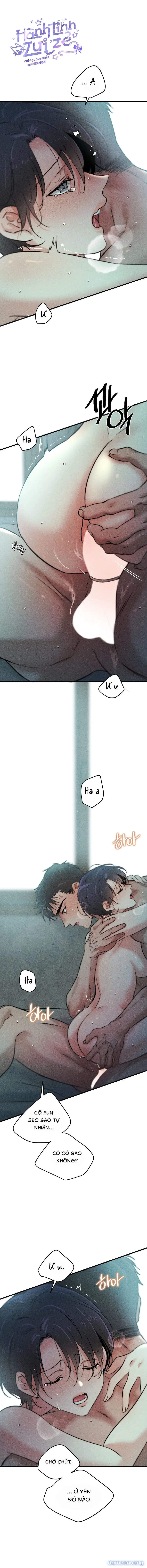 Những Ngày Cỏ Ba Lá 