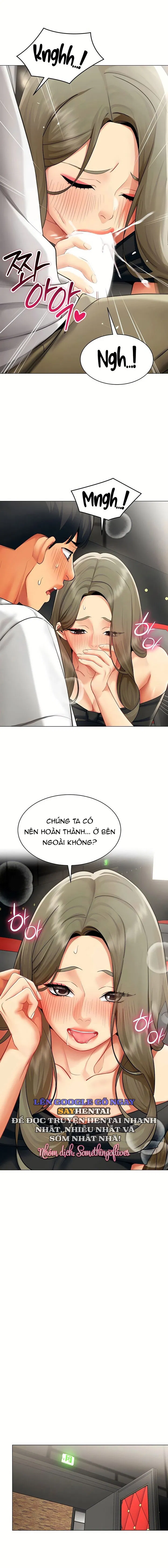 Báo Cáo Hiệu Suất (Tình Dục) 