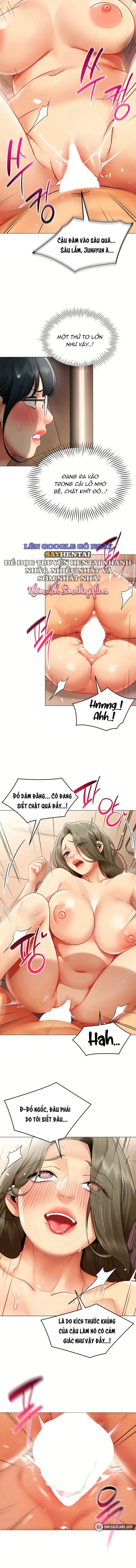 Báo Cáo Hiệu Suất (Tình Dục) 