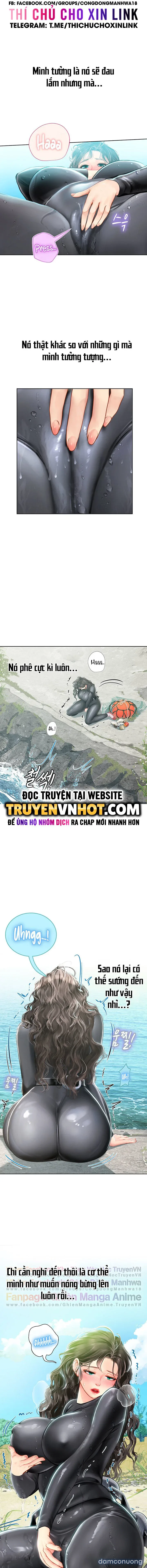 Nàng tiên cá tôi yêu 