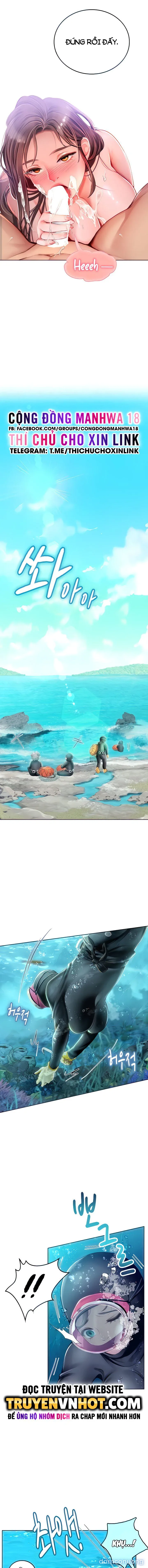 Nàng tiên cá tôi yêu 
