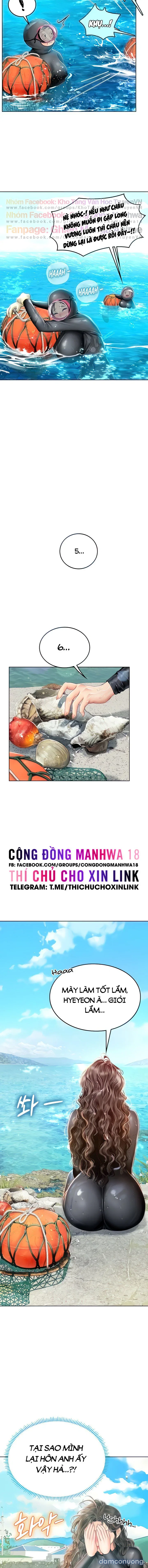 Nàng tiên cá tôi yêu 