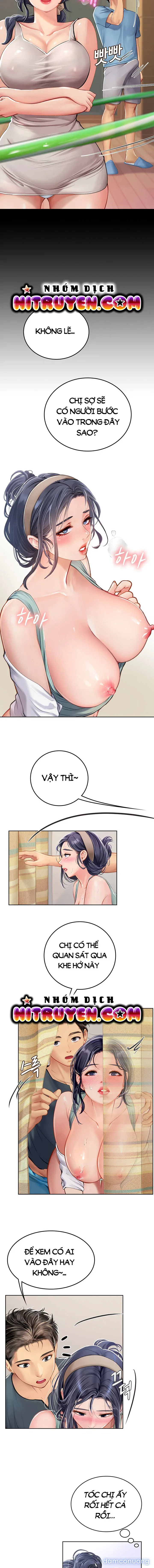 Nàng tiên cá tôi yêu 