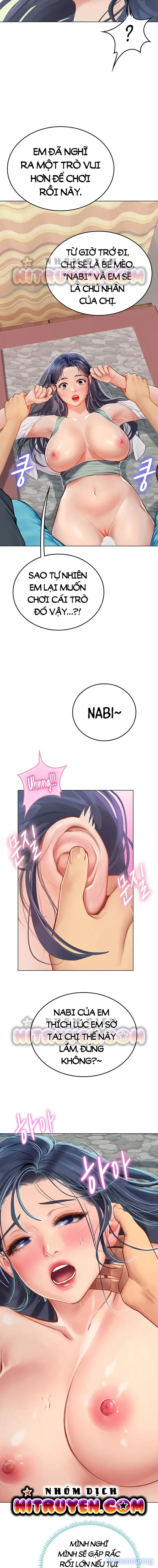 Nàng tiên cá tôi yêu 