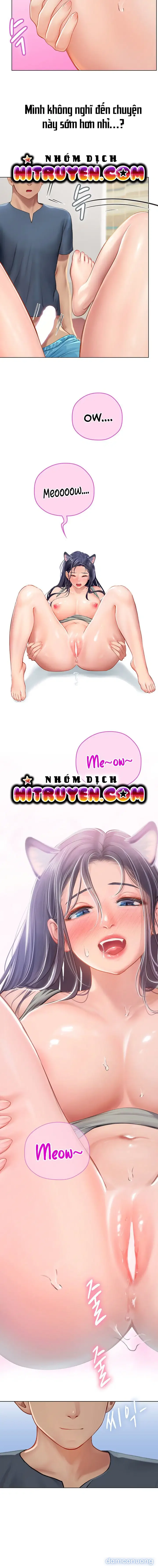 Nàng tiên cá tôi yêu 