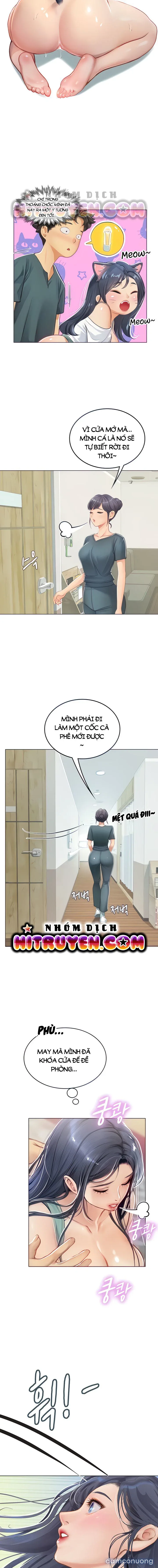Nàng tiên cá tôi yêu 