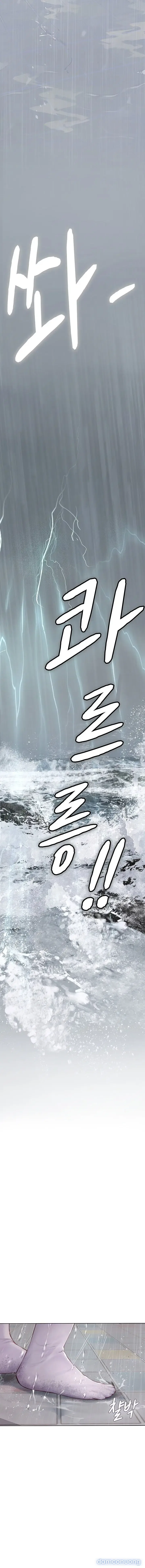 Nàng tiên cá tôi yêu 