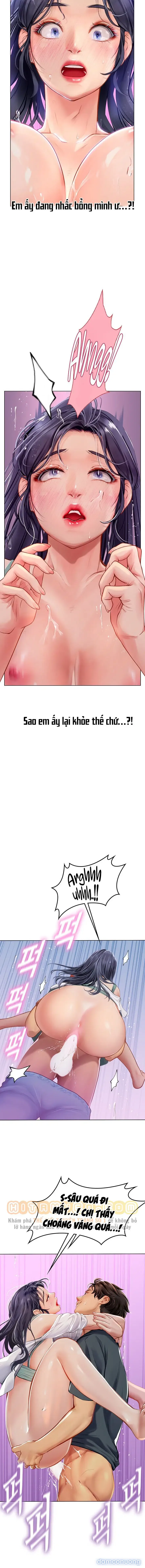 Nàng tiên cá tôi yêu 