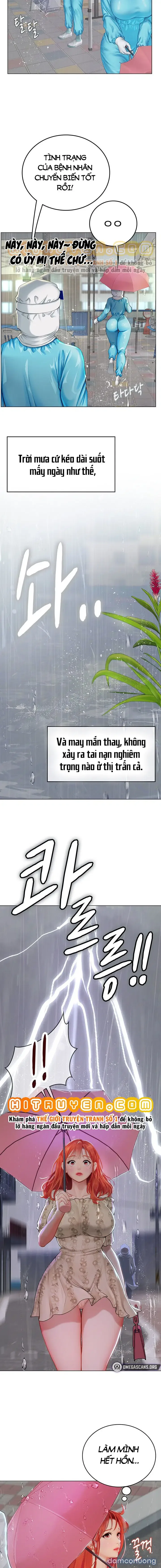 Nàng tiên cá tôi yêu 