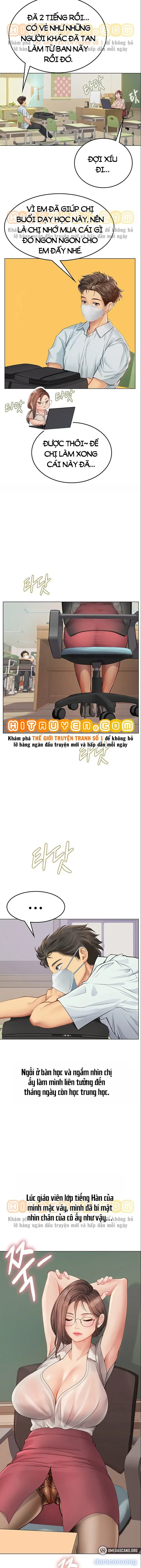 Nàng tiên cá tôi yêu 