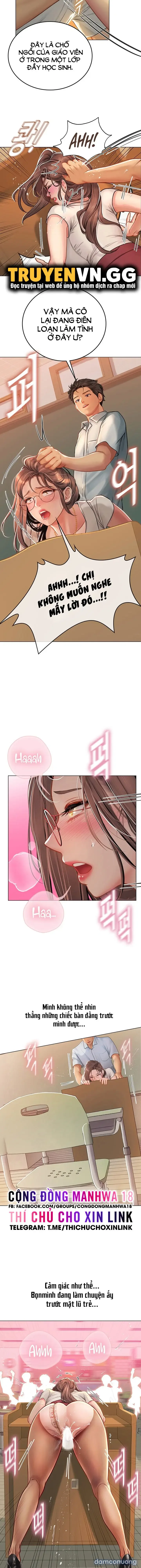 Nàng tiên cá tôi yêu 