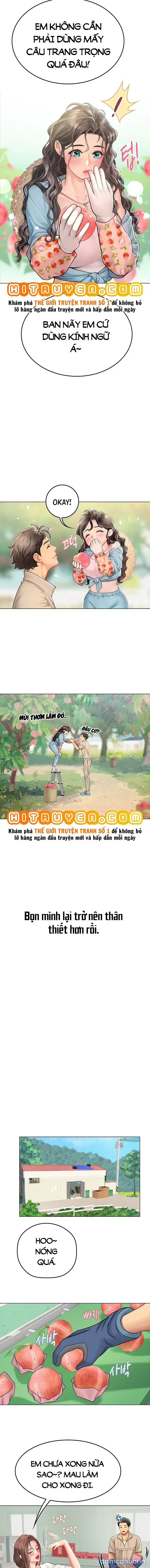 Nàng tiên cá tôi yêu 