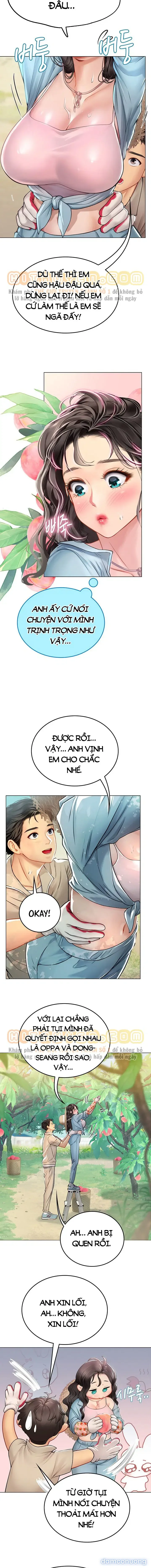 Nàng tiên cá tôi yêu 