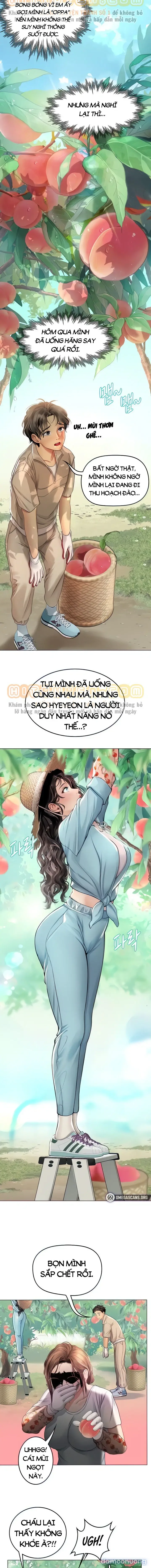 Nàng tiên cá tôi yêu 