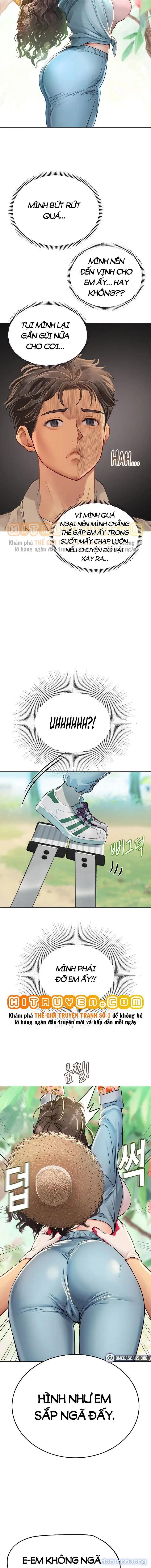 Nàng tiên cá tôi yêu 