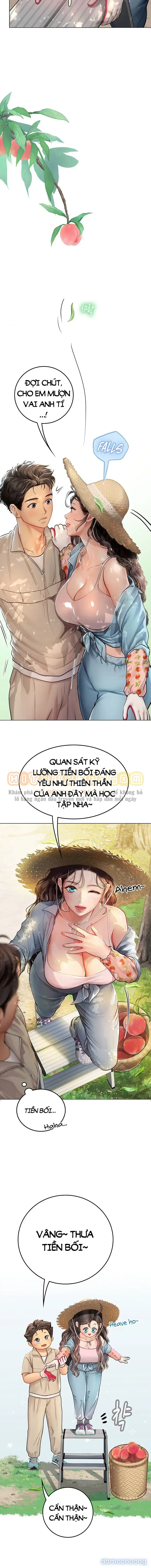 Nàng tiên cá tôi yêu 