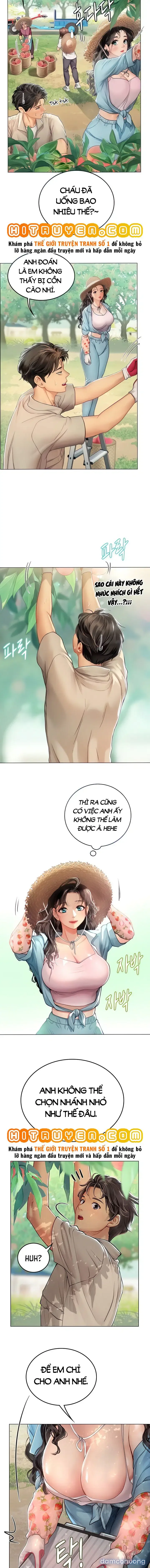 Nàng tiên cá tôi yêu 