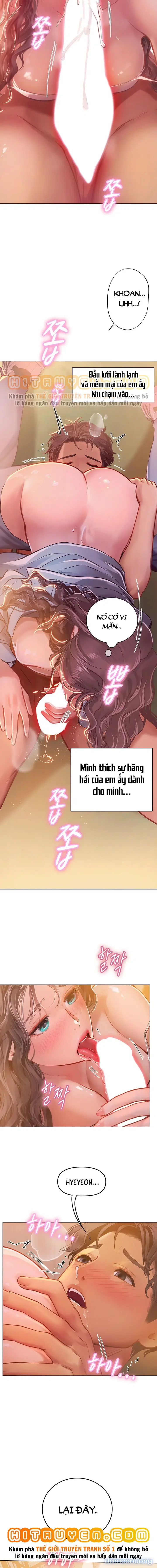 Nàng tiên cá tôi yêu 