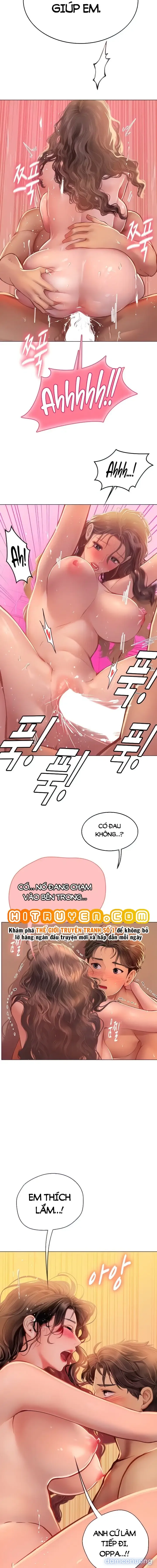 Nàng tiên cá tôi yêu 
