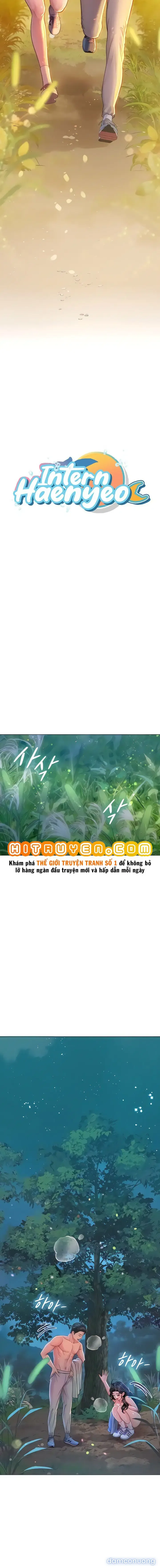 Nàng tiên cá tôi yêu 
