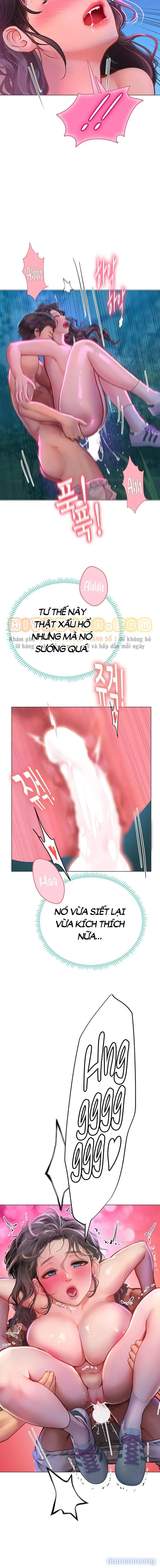 Nàng tiên cá tôi yêu 
