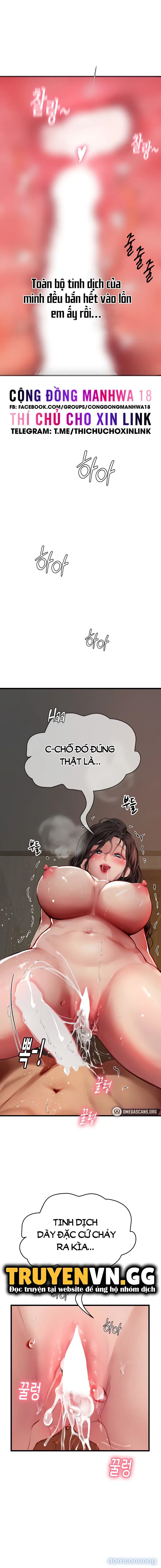 Nàng tiên cá tôi yêu 