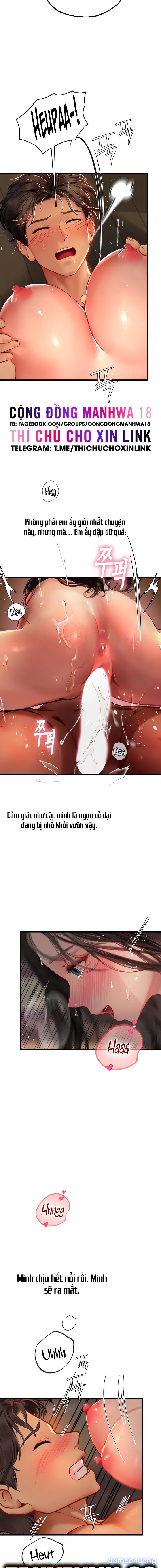Nàng tiên cá tôi yêu 