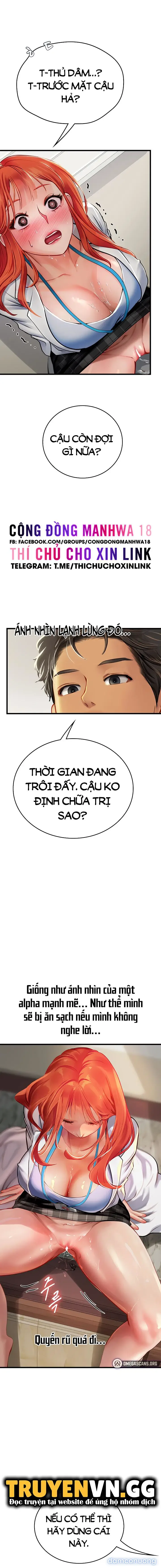 Nàng tiên cá tôi yêu 