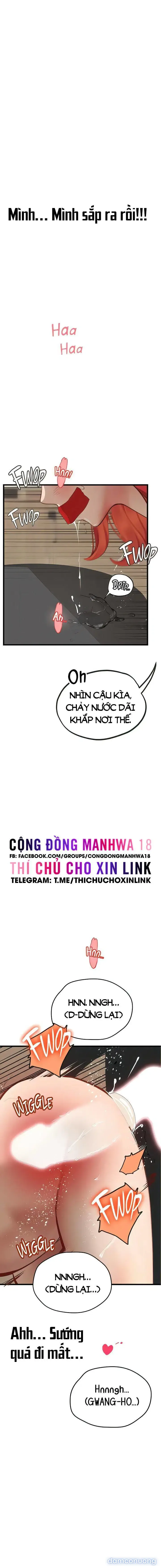 Nàng tiên cá tôi yêu 
