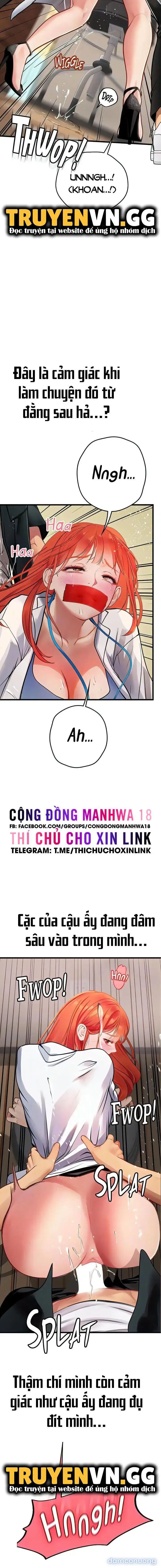 Nàng tiên cá tôi yêu 