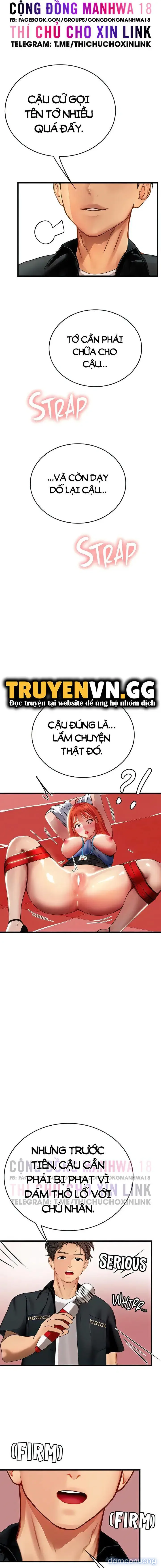 Nàng tiên cá tôi yêu 