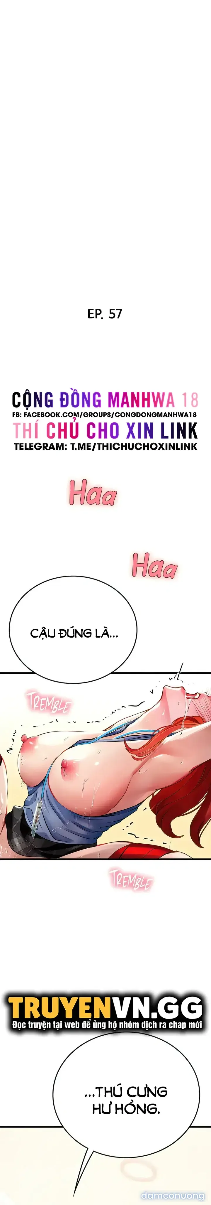 Nàng tiên cá tôi yêu 