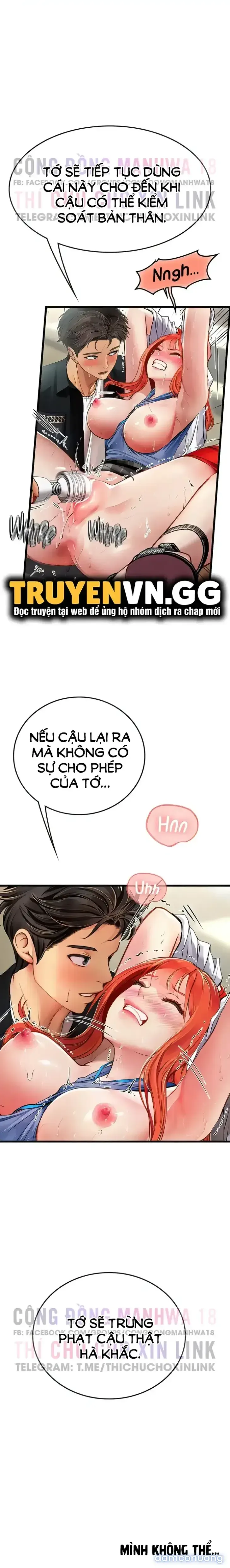 Nàng tiên cá tôi yêu 