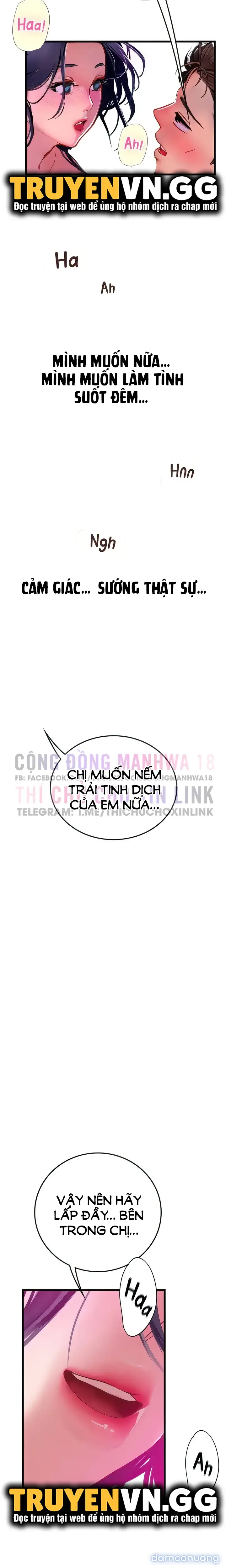 Nàng tiên cá tôi yêu 