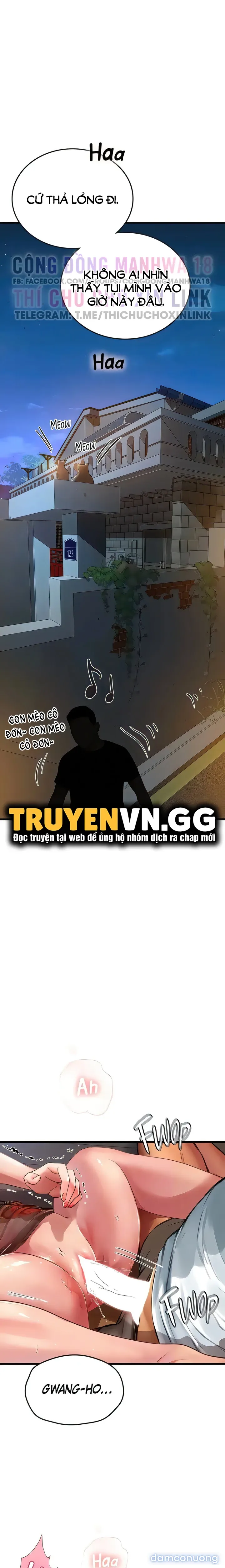 Nàng tiên cá tôi yêu 