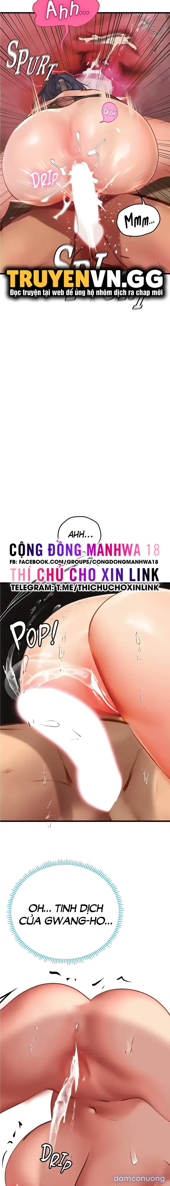 Nàng tiên cá tôi yêu 
